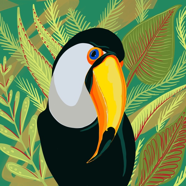 Painting Black and white Toucan with orange beak sitting wings tucked in front of green foilage