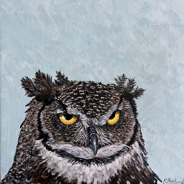 A grey and white owl with a dark grey hooked nose. Seen from the neck up, with tufts or feathers at the top of his head. The background is a light blue grey. His yellow eyes look at the viewer. 