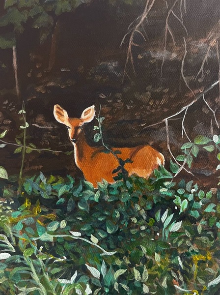 Painting of a doe looking straight at the viewer. Only see from the top of her legs up as her legs are hidden by dark green foliage. The background is the forest lost in darkness. Her ears are prominent and light pink.