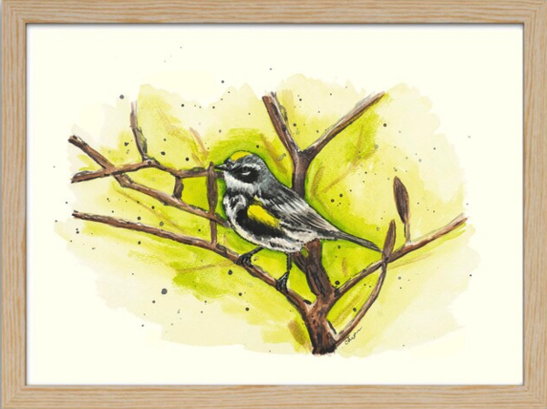 Print of a Yellowrumped Warbler perched on a thin tree branch over a yellowgreen background with black dots for texture on an off white background 