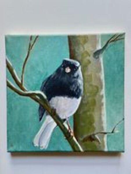 Painting of small blue and white bird looking at viewer perched on a leafless branch with thin tree trunk behind his head Teal background 