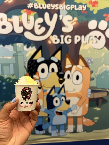 Kiddie serving of mango and strawberry ice cream in a white JP Licks branded cup Hand with blue nail polish visible on thumb holding cup in front of poster advertising Blueys Big Play Poster is of famous cartoon Blue Heeler Bluey and her two Blu