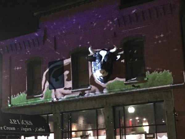 Light display of cow body standing on grass projected onto the Jamaica Plain store using our plastic cow head as the head 