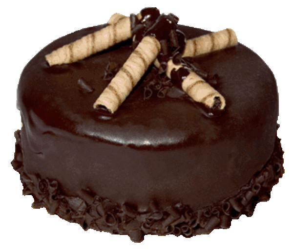 Chocolate Covered Ice Cream Cake